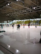 Ice skating rinks in Vienna