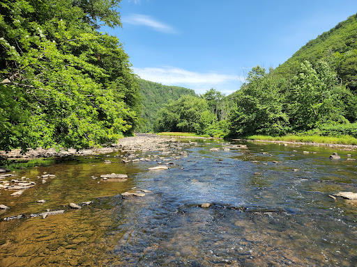 Tourist Attraction «PA Grand Canyon», reviews and photos, Rte 6, Wellsboro, PA 16901, USA