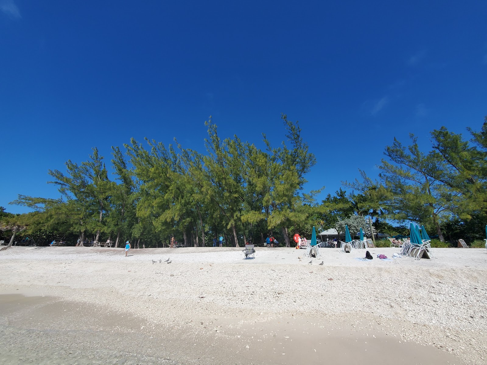 Foto van Zachary Taylor beach en de nederzetting