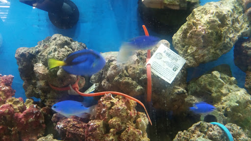 Pet Supply Store «Petco Animal Supplies», reviews and photos, 10 Sylvan St, Peabody, MA 01960, USA