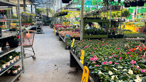 Home Improvement Store «The Home Depot», reviews and photos, 3401 Oakwood Blvd, Hollywood, FL 33020, USA