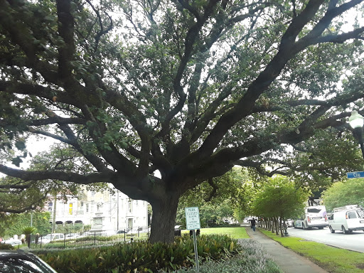 History Museum «The National WWII Museum», reviews and photos, 945 Magazine St, New Orleans, LA 70130, USA