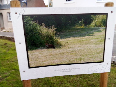 Exposition 