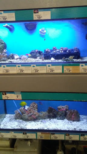 Pet Supply Store «Petco Animal Supplies», reviews and photos, 2823 County Home Rd, Goshen, IN 46526, USA