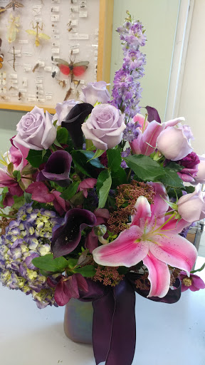 Garden Center «International Garden and Floral Design Center», reviews and photos, 155 N Sepulveda Blvd, El Segundo, CA 90245, USA