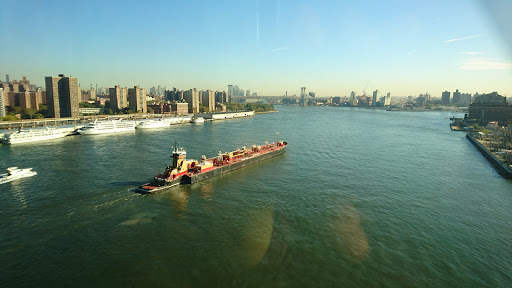 Park «Brooklyn Bridge Park», reviews and photos, 334 Furman St, Brooklyn, NY 11201, USA