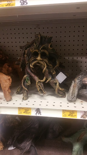 Pet Supply Store «PetSmart», reviews and photos, 2920 Little Rd, Trinity, FL 34655, USA