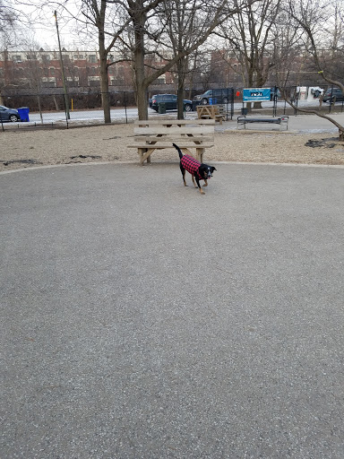 Dog Park «Norwood Park Dog Friendly Area», reviews and photos, 5850 N Avondale Ave, Chicago, IL 60631, USA