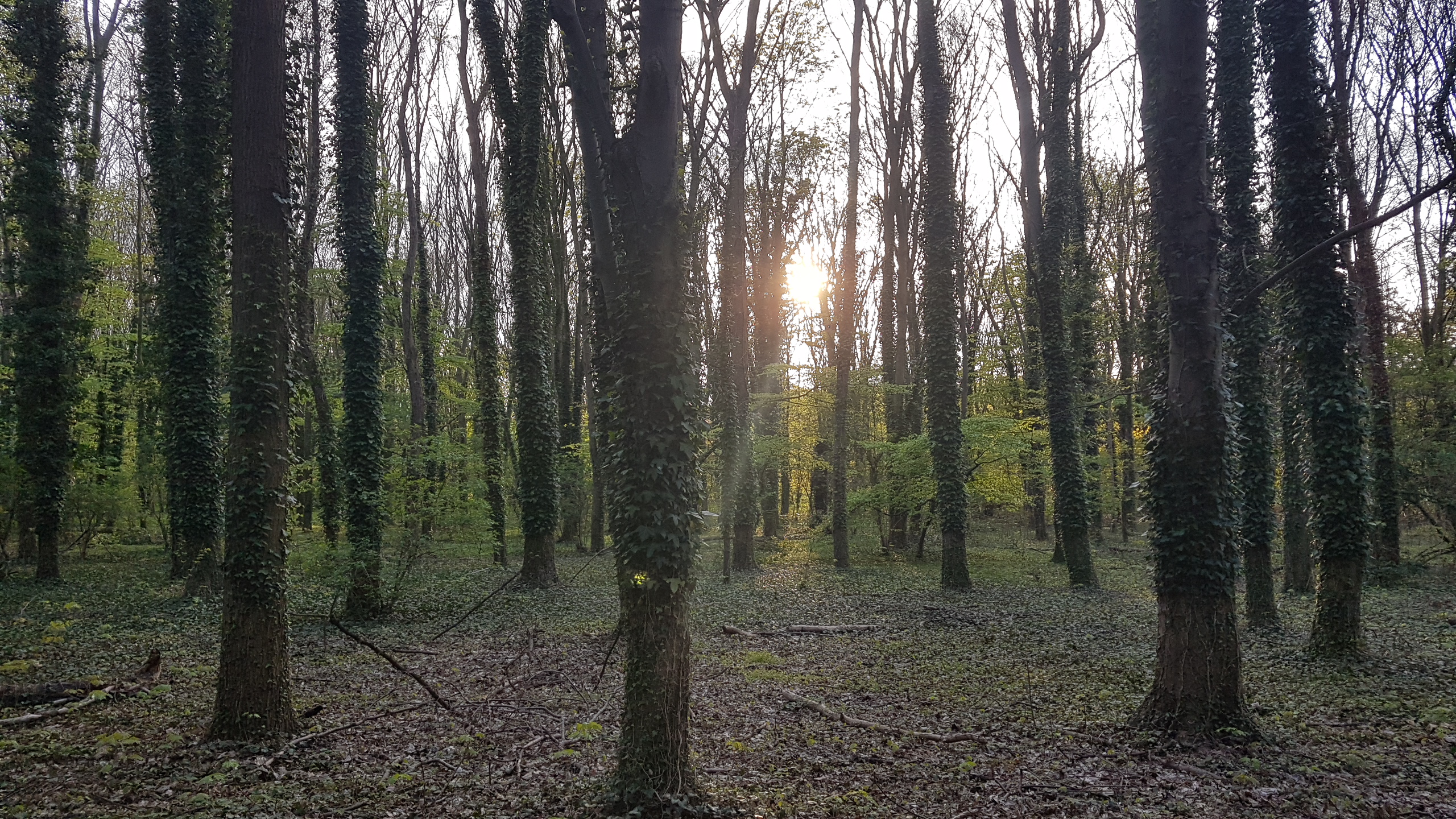 Photo n° 1 de l'avis de Réda.h fait le 07/04/2019 à 22:12