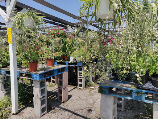 Produce Market «Iroquois Fruit Market», reviews and photos, 5405 New Cut Rd, Louisville, KY 40214, USA