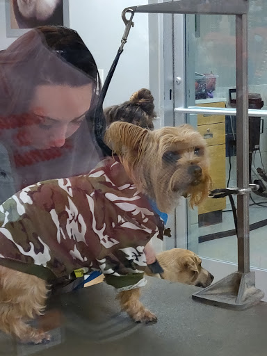 Pet Supply Store «Petco Animal Supplies», reviews and photos, 473 State Rd, North Dartmouth, MA 02747, USA