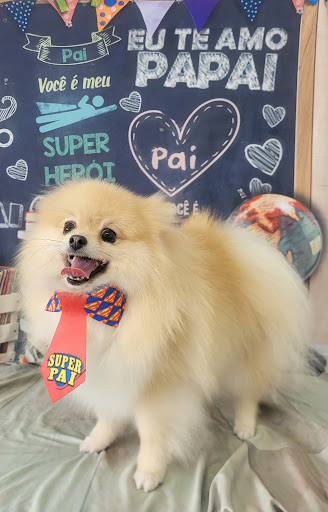 Logo da empresa - Petiscão Pet Shop
