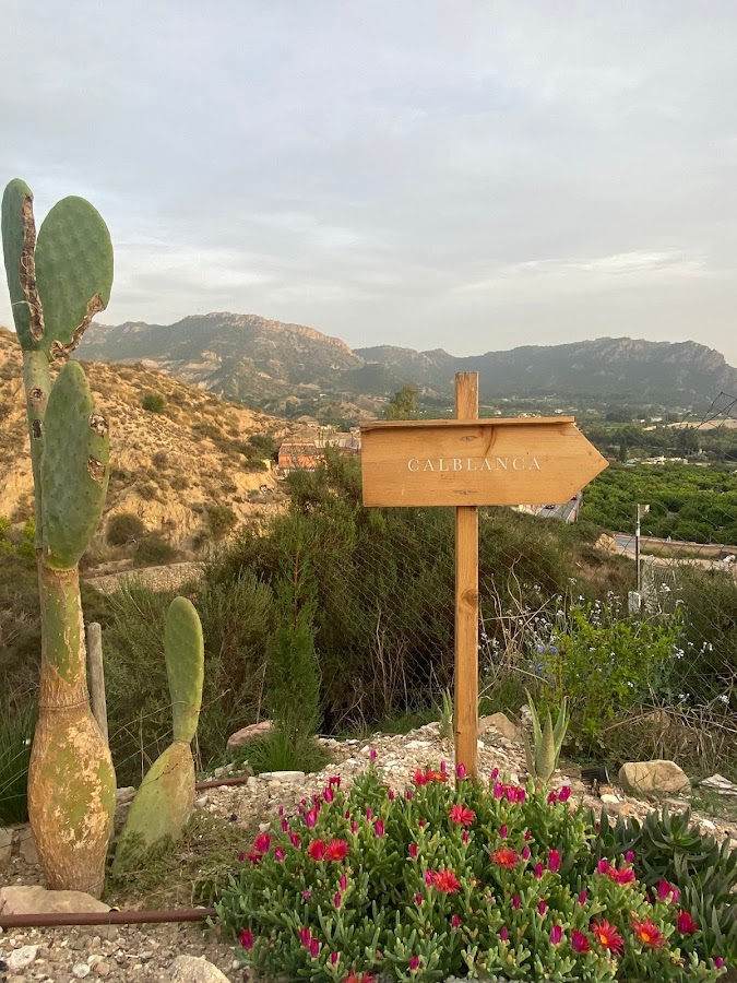 Calblanca casa rural