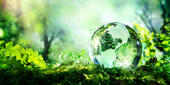 Psiholog Cristina Dina