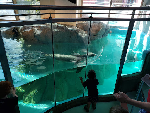Aquarium «The Maritime Aquarium at Norwalk», reviews and photos, 10 N Water St, Norwalk, CT 06854, USA