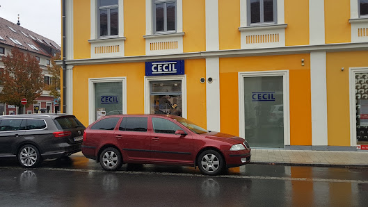 Cecil Hauptstraße 2a, 8280 Fürstenfeld, Österreich