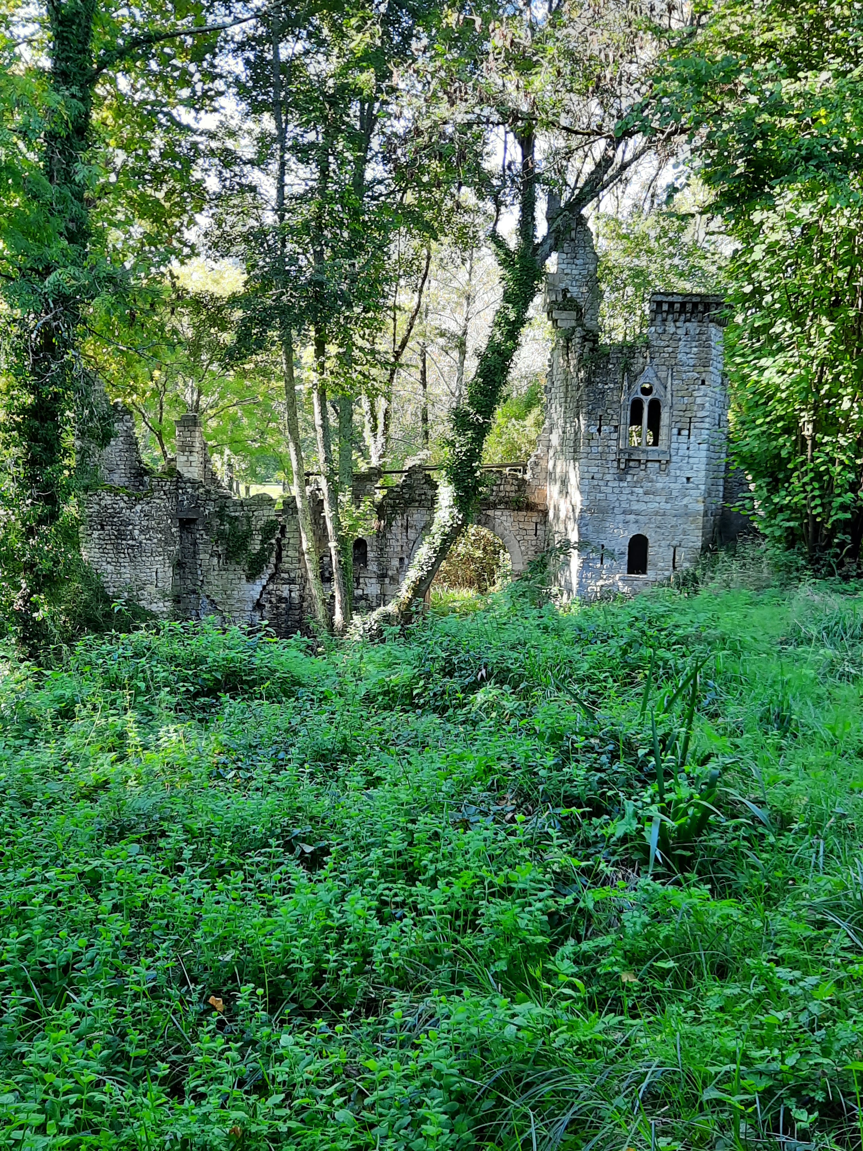 Photo n° 8 de l'avis de teixeira.a fait le 16/10/2021 à 21:10