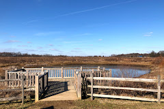 Springfield Bog Metro Park