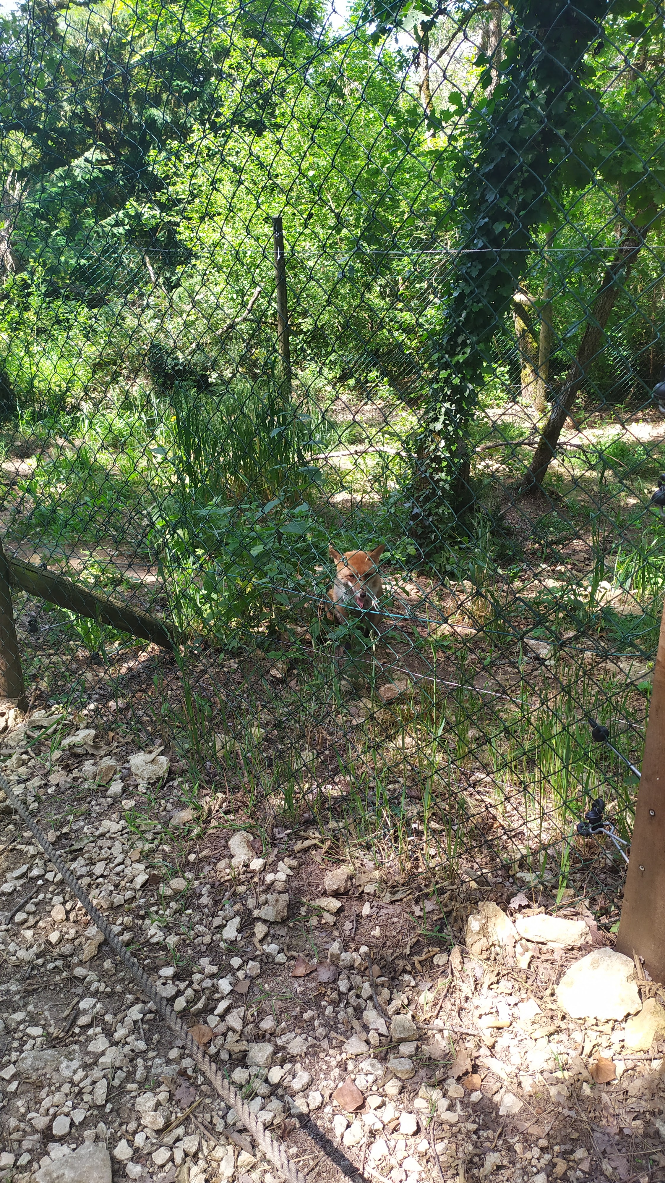 Photo n° 1 de l'avis de Marie-Claude.r fait le 16/06/2023 à 07:20