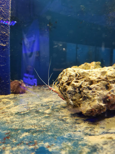 Pet Store «Sierra Fish and Pets», reviews and photos, 601 S Grady Way Suite M, Renton, WA 98057, USA