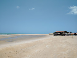 Photo de Plage de Galinhos avec rivage droit, long