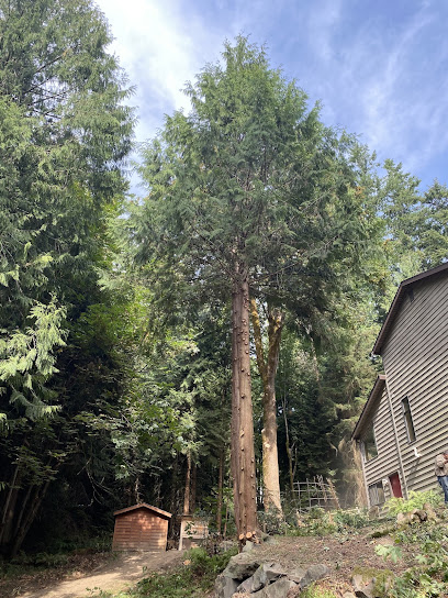 Western Washington Tree Service