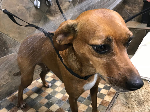 Pet Store «Pet Valu», reviews and photos, 2231 Old Bridge Rd, Lake Ridge, VA 22192, USA