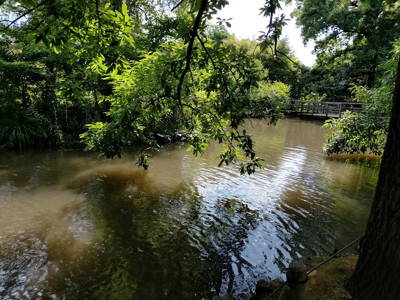丸池雑木林公園