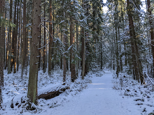 State Park «Bridle Trails State Park», reviews and photos, 5300 116th Ave. N.W., Kirkland, WA 98033, USA