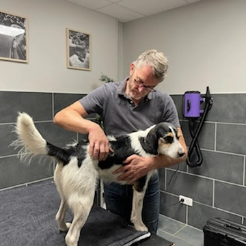 HUNDANUDD Massage canin Arrayou-Lahitte
