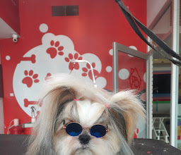 Plaza Villa Azul photo