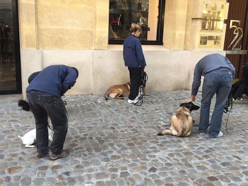 EDUCATION CANINE AIX EN PROVENCE