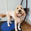 Paw-Paw Patch Pet Grooming LLC