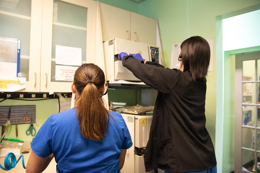 Gold Coast Dental - La Habra 951 image