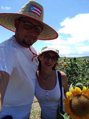 Finca Girasoles - photo 15