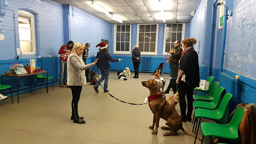 Black Country Dog Training