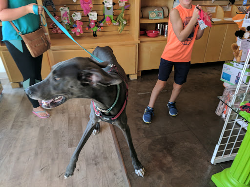 Pet Supply Store «Bow Wow & Meow», reviews and photos, 11607 Maumelle Blvd, North Little Rock, AR 72113, USA