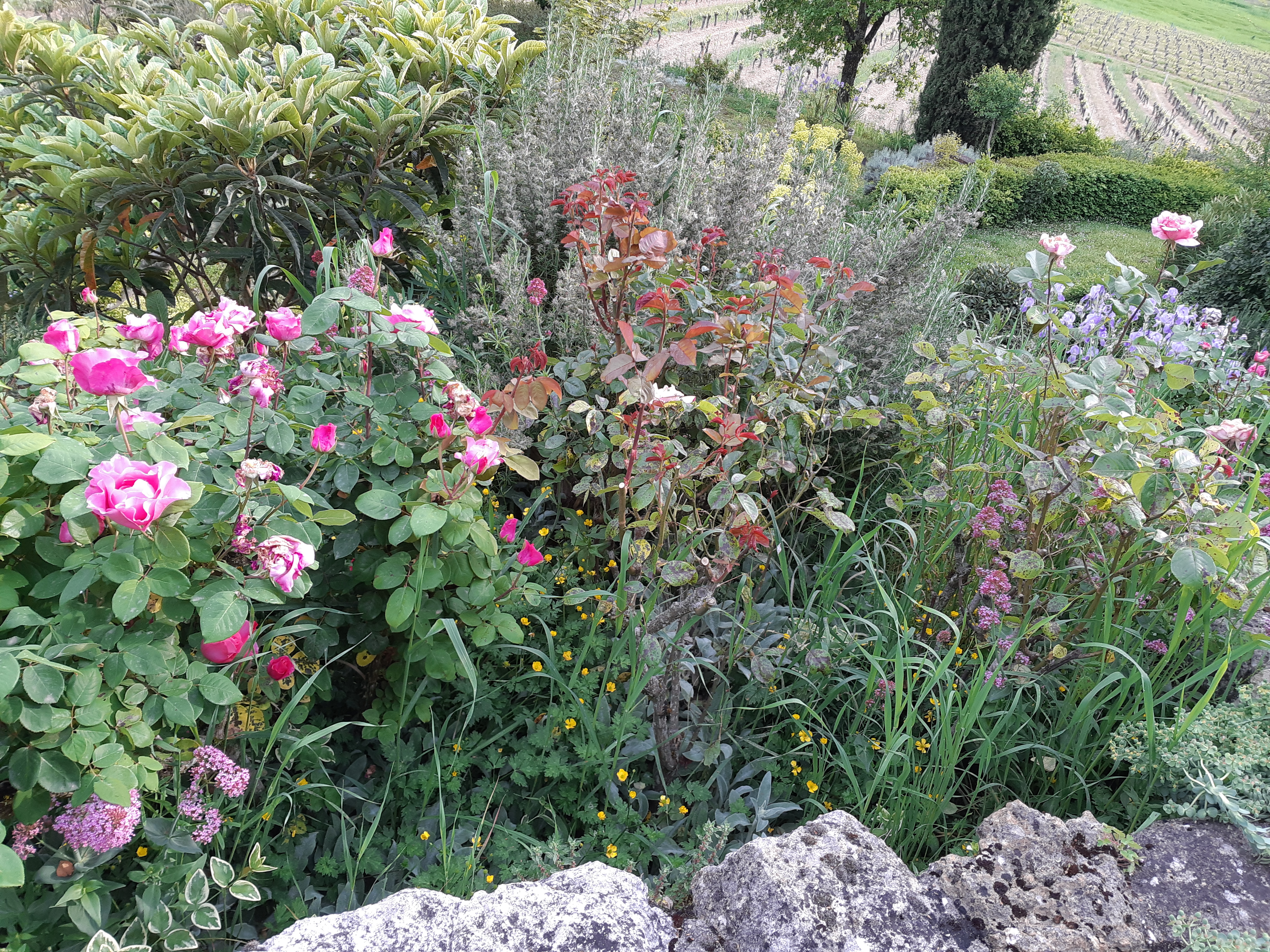 Photo n° 1 de l'avis de Hardeman.� fait le 02/05/2019 à 17:50