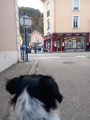 Ambrosiano Sandrine à Villard-Bonnot