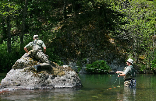 Wild Waters Fly Fishing