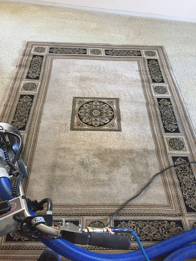 Quality Carpet and Tile Cleaning