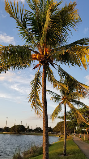 Park «Plantation Central Park», reviews and photos, 9151 NW 2nd St, Plantation, FL 33324, USA