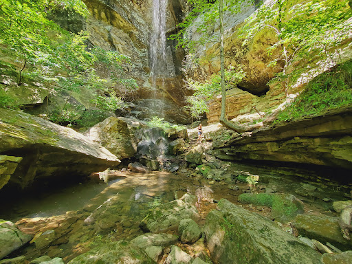 Steele Falls