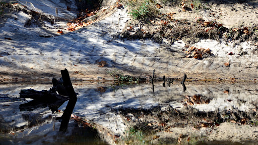 Park «Lake Houston Wilderness Park», reviews and photos, 25840 FM 1485, New Caney, TX 77357, USA