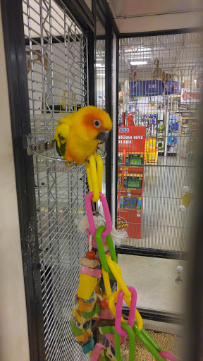 Pet Supply Store «PetSmart», reviews and photos, 2140 17th St, Santa Ana, CA 92705, USA