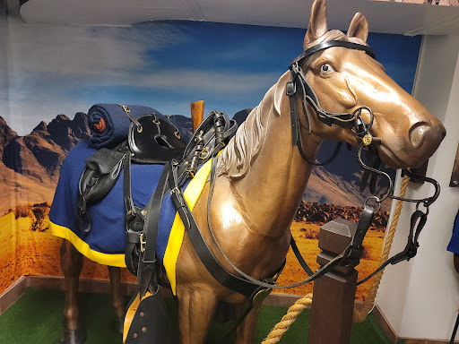 Museum «Buffalo Soldiers Museum», reviews and photos, 3816 Caroline St, Houston, TX 77004, USA