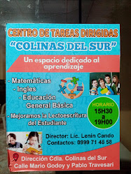 Servicios Educativos Centro de Tareas Dirigidas Colinas de Sur