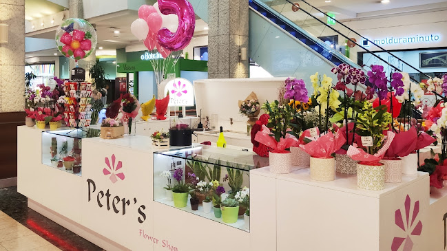 Avaliações doPeter's Flower Shop em Vila Nova de Gaia - Floricultura