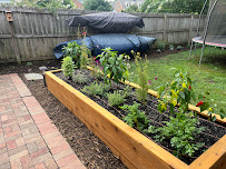 Crown Town Landscapes - Photo 3 - Car repair in , Charlotte