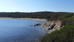 Vecchia Dogana Beach'in fotoğrafı - rahatlamayı sevenler arasında popüler bir yer